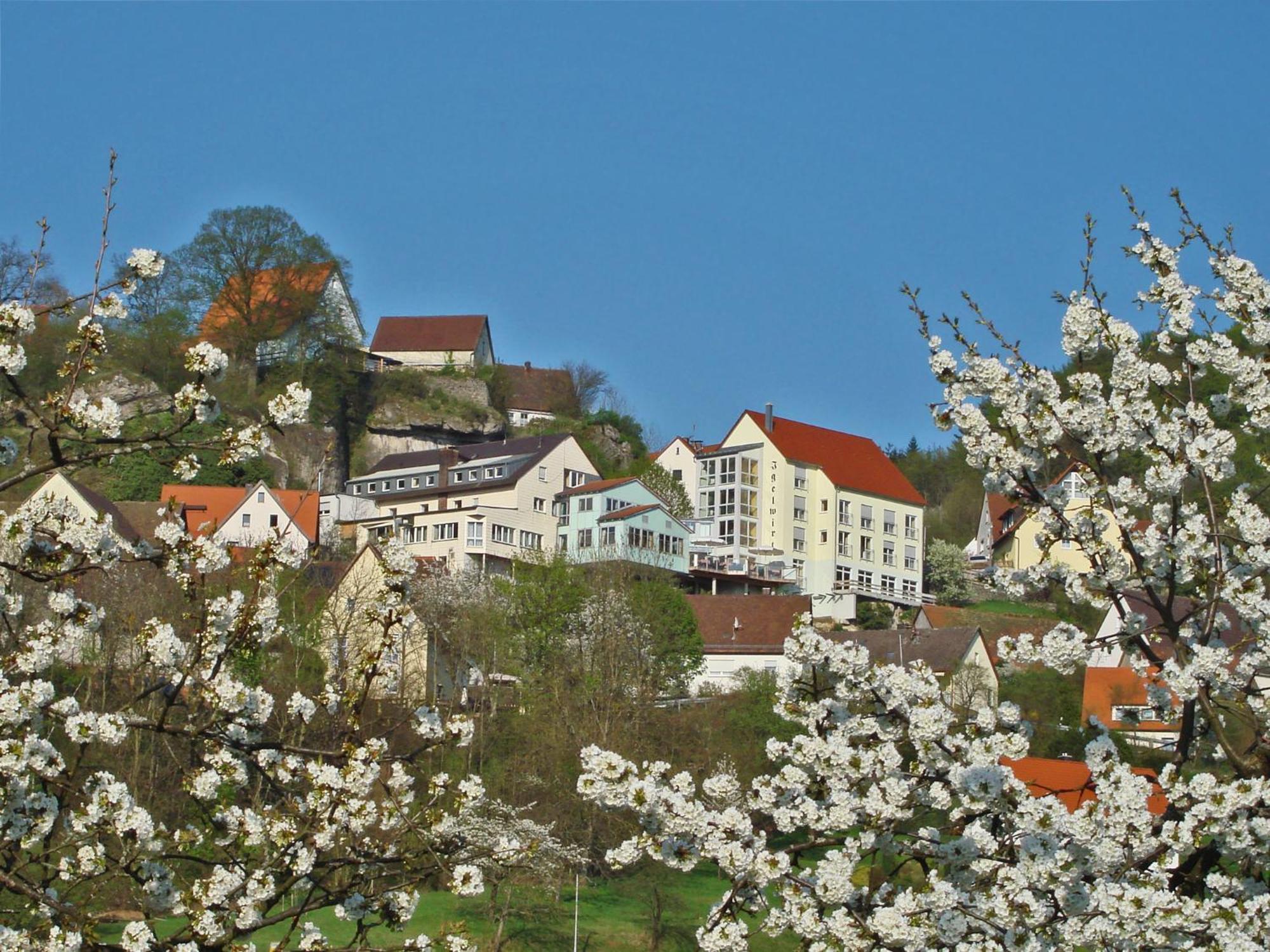 Berggasthof Hotel Igelwirt ชไนท์อัค ภายนอก รูปภาพ